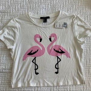 NWT Graphic Tshirt crop top